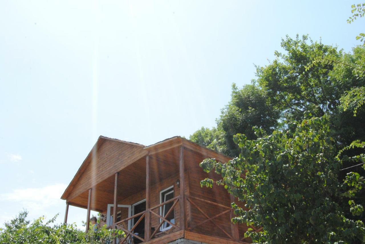 Tsanava'S Cottage In 西格纳吉 外观 照片