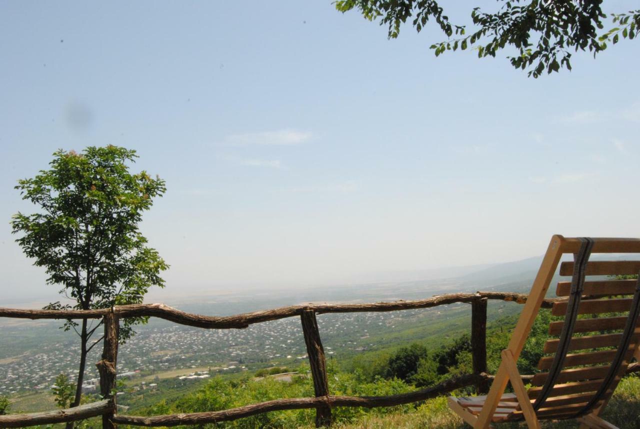 Tsanava'S Cottage In 西格纳吉 外观 照片